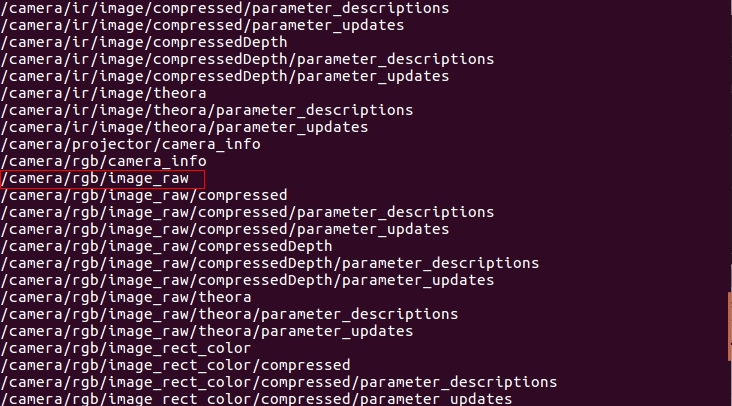 camera-topic-list