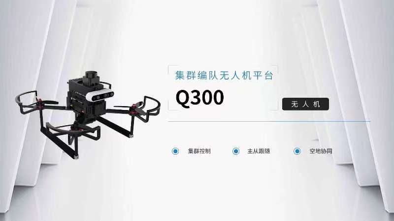 Q300_show_head